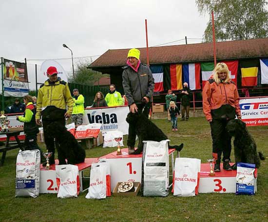 Bouvier WINSTON MAISKE v CAYA'S HOME